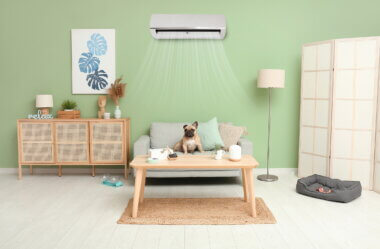 完成見学会開催します